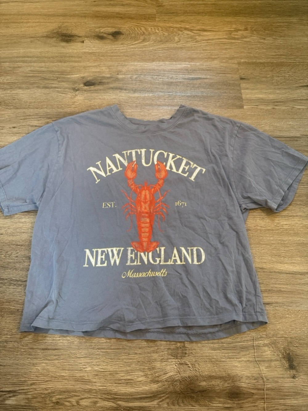 Hollister Blue Crop Top with Red Lobster Graphic